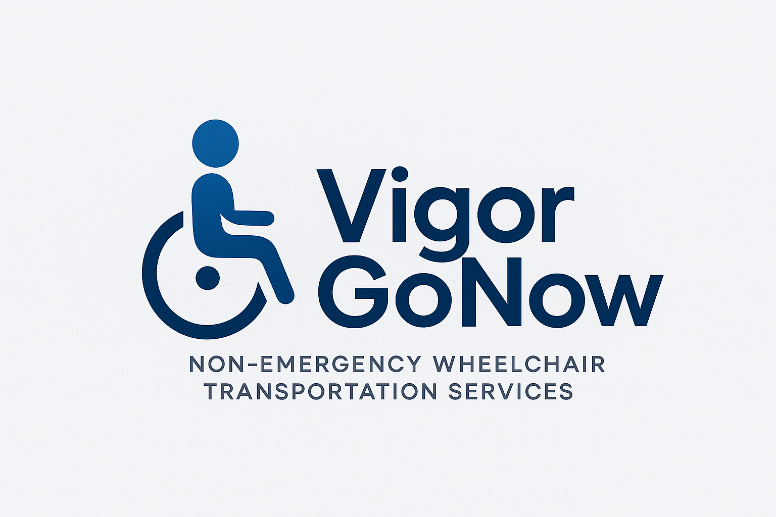 vigor-gonow.com